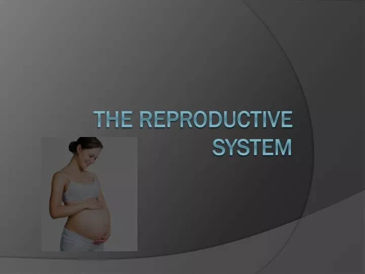 the reproductive system