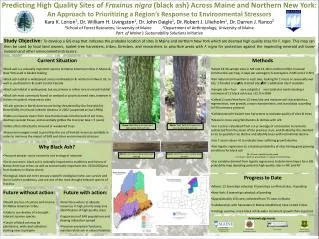 Predicting High Quality Sites of Fraxinus nigra (black ash) Across Maine and Northern New York: