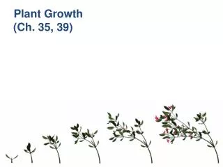 Plant Growth (Ch. 35, 39)