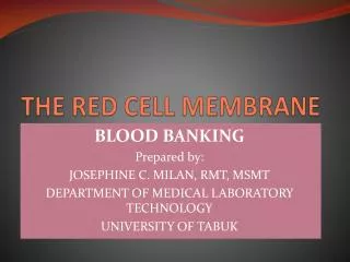THE RED CELL MEMBRANE