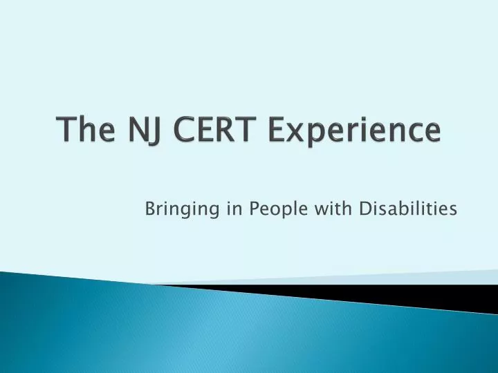 the nj cert experience