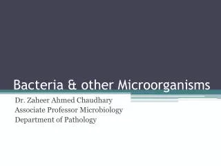 Bacteria &amp; other Microorganisms
