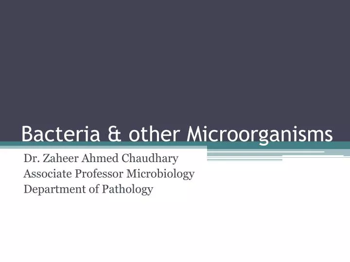 bacteria other microorganisms