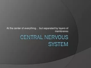 Central Nervous System