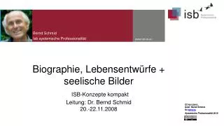 bernd schmid isb systemische p rofessionalit t