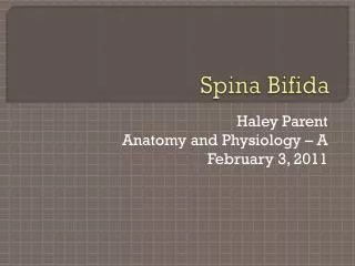 Spina Bifida