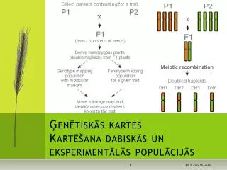 en tisk s kartes kart ana dabisk s un eksperiment l s popul cij s