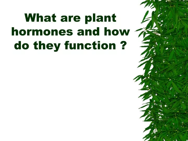 what are plant hormones and how do they function