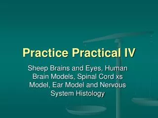 Practice Practical IV