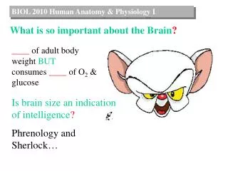 BIOL 2010 Human Anatomy &amp; Physiology I