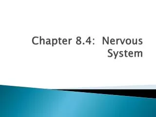 Chapter 8.4: Nervous System