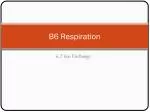 B6 Respiration - slide 1