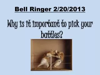 Bell Ringer 2/20/2013
