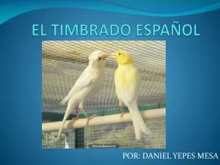 el timbrado espa ol