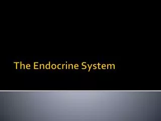 The Endocrine System