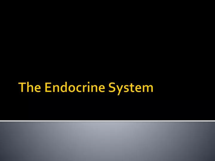 the endocrine system