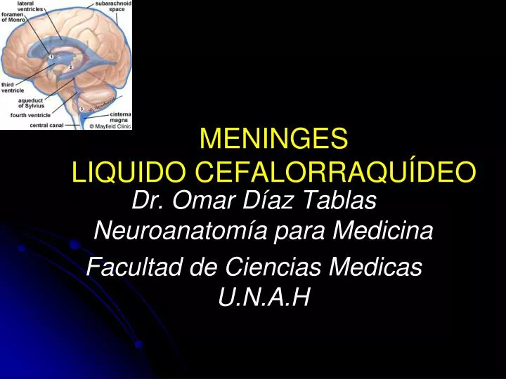 meninges liquido cefalorraqu deo