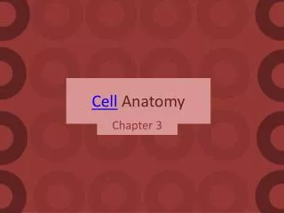 Cell Anatomy