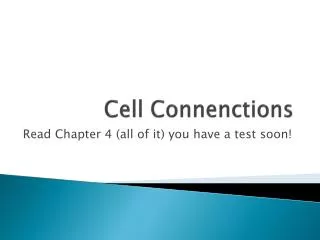 Cell Connenctions