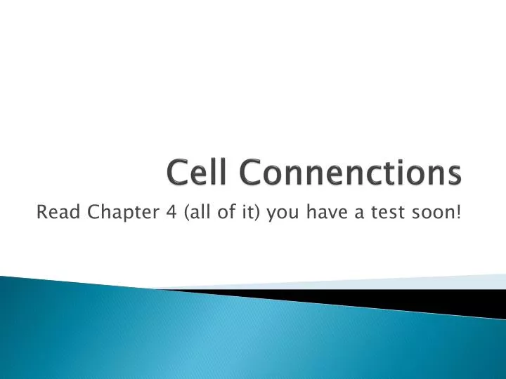 cell connenctions