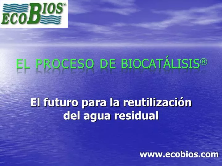 el proceso de biocat lisis