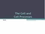 The Cell and Cell Processes - slide 1