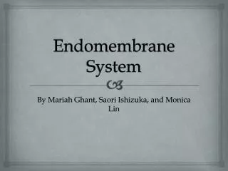 Endomembrane System