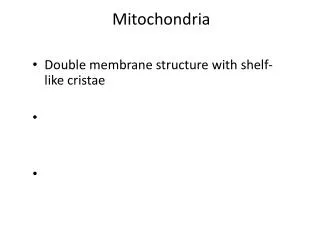 Mitochondria