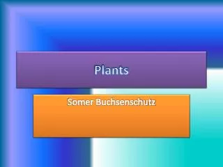 plants
