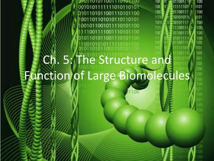ch 5 the structure and function of large biomolecules