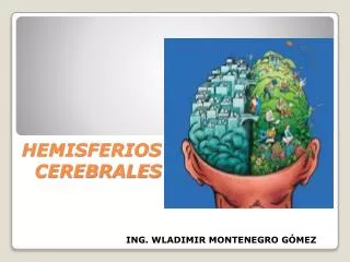 hemisferios cerebrales