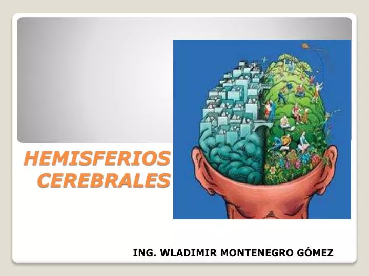 hemisferios cerebrales