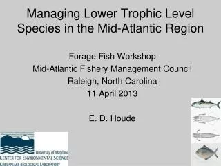 Managing Lower Trophic Level Species in the Mid-Atlantic Region