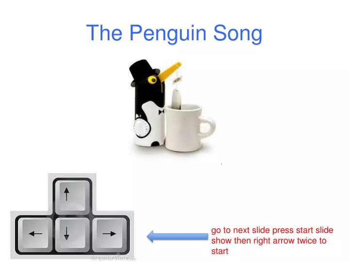 the penguin song