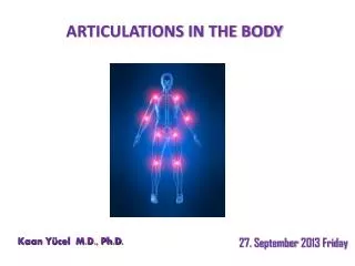 ARTICULATIONS IN THE BODY