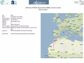 LifeTrack of White Stork,2539, HH884, Ciconia ciconia 2012 to 2013