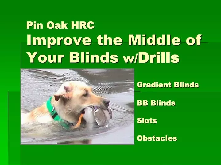 pin oak hrc improve the middle of your blinds w drills gradient blinds bb blinds slots obstacles
