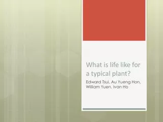 What is life like for a typical plant?