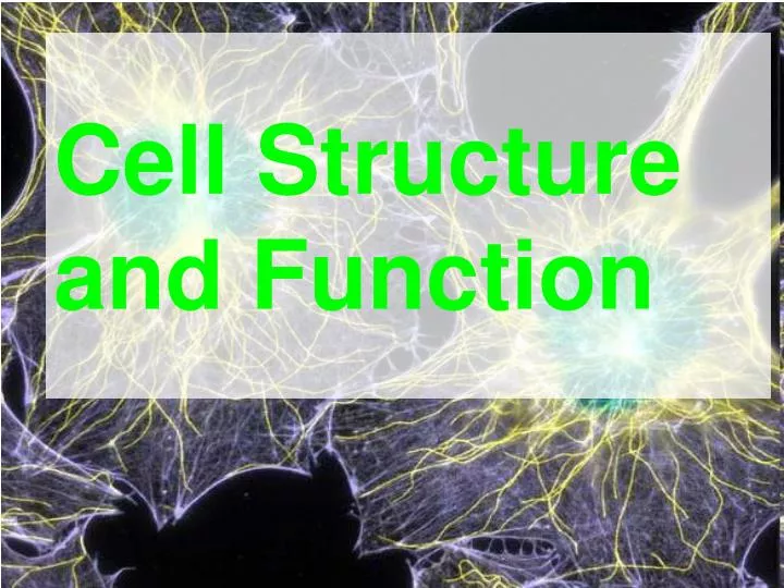 cell structure and function