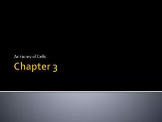 Chapter 3