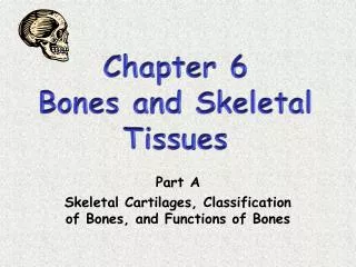 Chapter 6 Bones and Skeletal Tissues