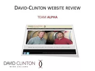 David-Clinton website review