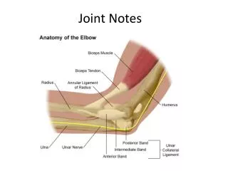 Joint Notes