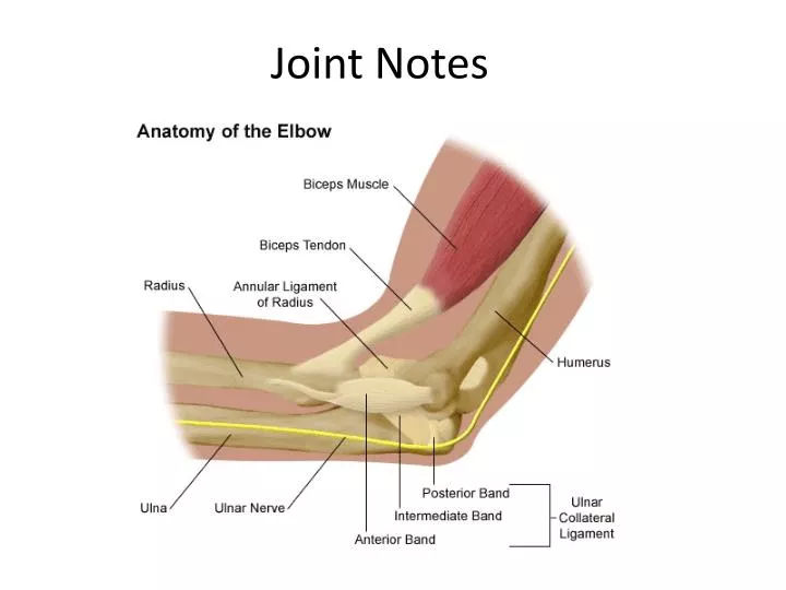 joint notes
