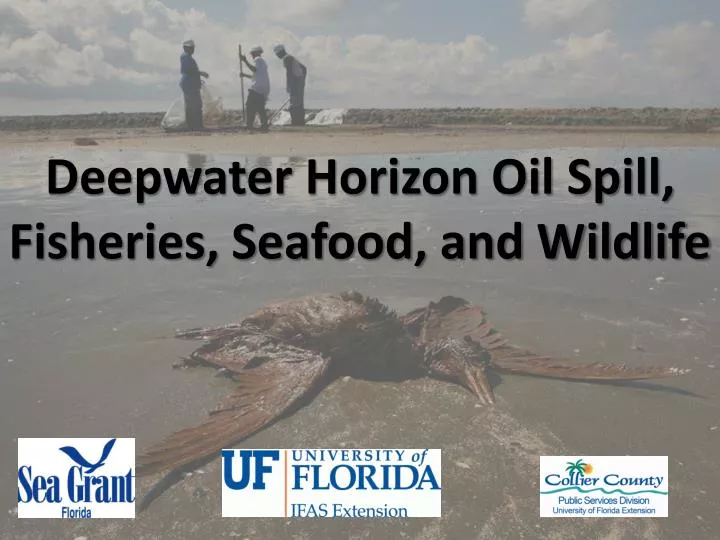 deepwater horizon oil spill fisheries seafood and wildlife