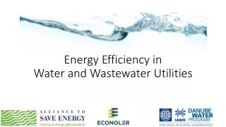 Energy Efficiency in Water and Wastewater Utilities