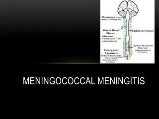 Meningococcal Meningitis