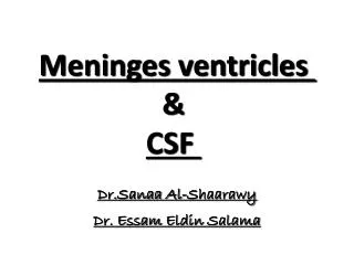 Meninges ventricles &amp; CSF