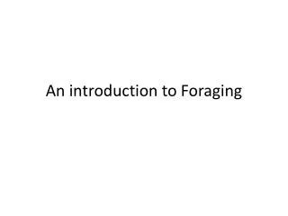 An introduction to Foraging