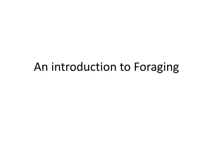 an introduction to foraging